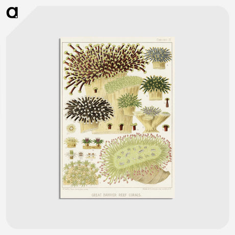 1-17_The-Great-Barrier-Reef-of-Australia_postcard