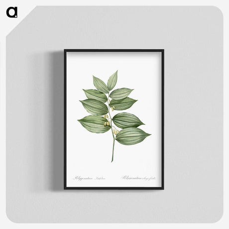 1-17_The-Lilies_blk-crop