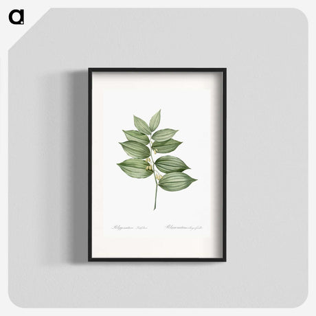 1-17_The-Lilies_blk