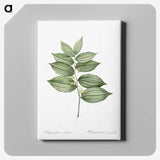 1-17_The-Lilies_canvas