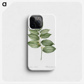 1-17_The-Lilies_phone