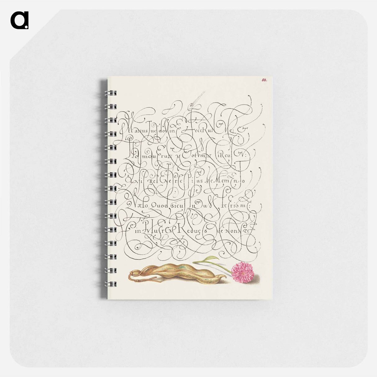 アートメモ帳-Kidney Bean and English Daisy
 - 書道のお手本 Memo.