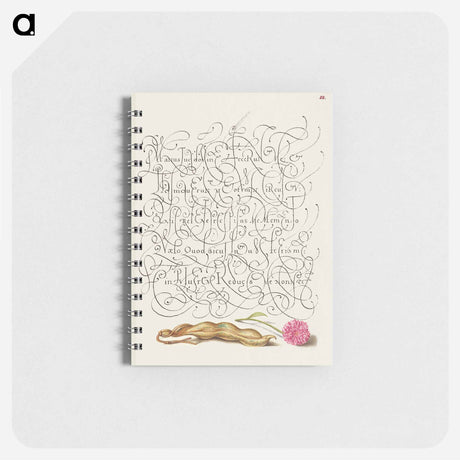 アートメモ帳-Kidney Bean and English Daisy
 - 書道のお手本 Memo.