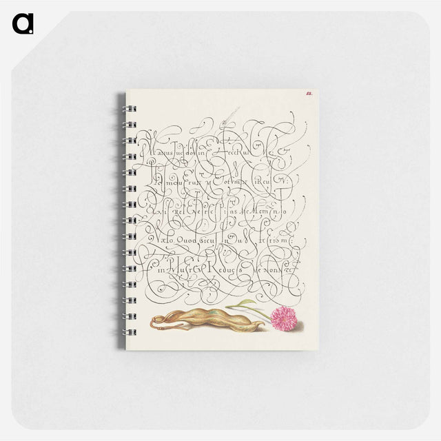 アートメモ帳-Kidney Bean and English Daisy
 - 書道のお手本 Memo.