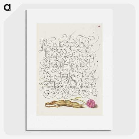 1-17_The-Model-Book-of-Calligraphy_picture