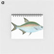 1-17_The-Natural-History-of-British-Fishes_memo