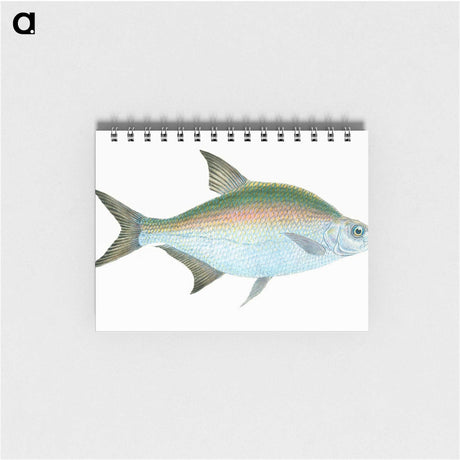 1-17_The-Natural-History-of-British-Fishes_memo
