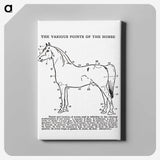 1-17_The-Open-Door-to-Independence_canvas