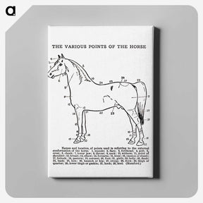 1-17_The-Open-Door-to-Independence_canvas