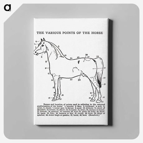 1-17_The-Open-Door-to-Independence_canvas