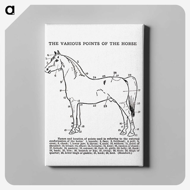 1-17_The-Open-Door-to-Independence_canvas