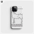1-17_The-Open-Door-to-Independence_phone