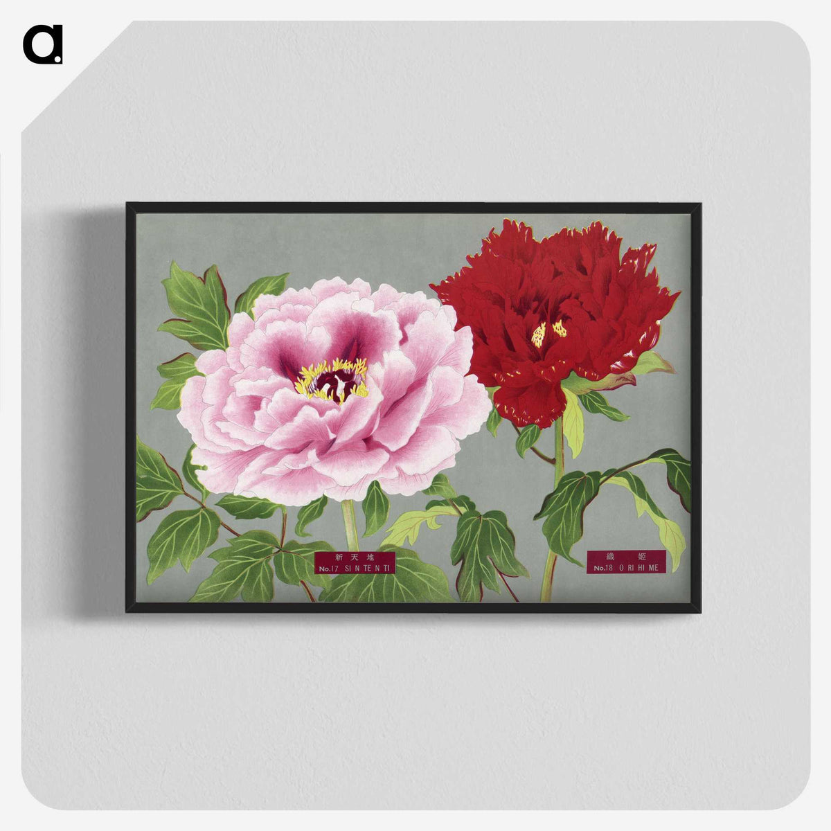 1-17_The-Picture-Book-of-Peonies_blk-crop