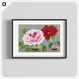 1-17_The-Picture-Book-of-Peonies_blk