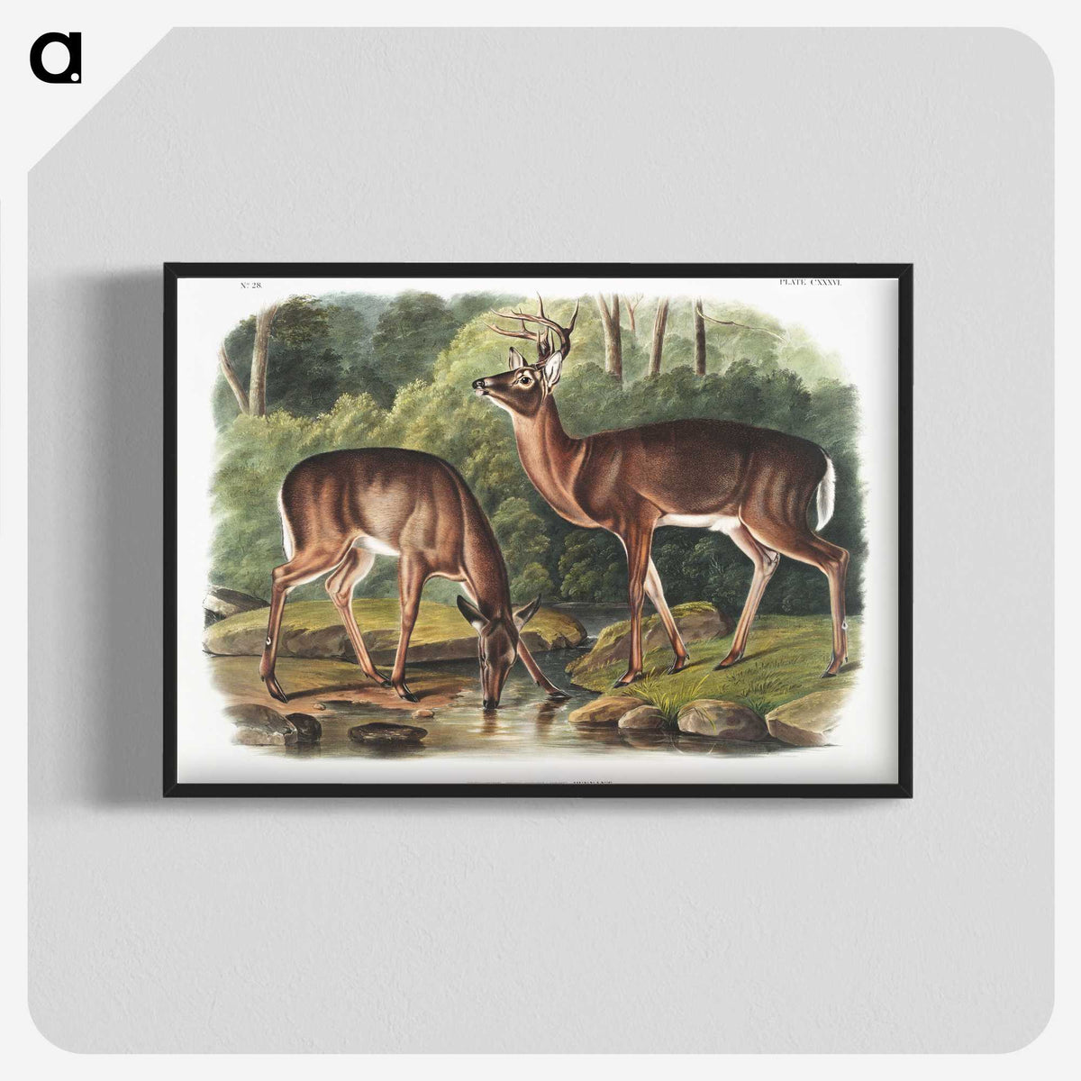 1-17_The-Viviparous-Quadrupeds_blk-crop