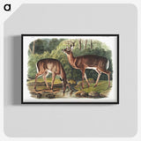 1-17_The-Viviparous-Quadrupeds_blk-crop