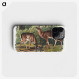 1-17_The-Viviparous-Quadrupeds_phone