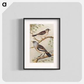 アートポスター-Twee vogels op takken - テオ ヴァン ホイテマ Poster.