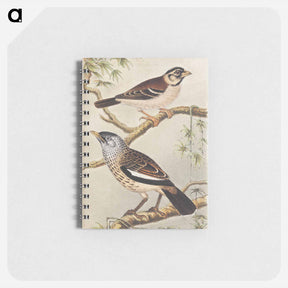 アートメモ帳-Twee vogels op takken - テオ ヴァン ホイテマ Memo.
