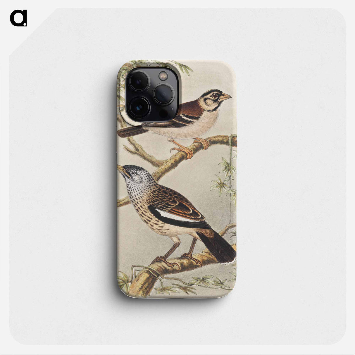 Twee vogels op takken - Theo van Hoytema Phone Case.