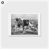 1-17_Theodor-Philipsen_hagaki