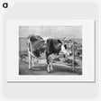 1-17_Theodor-Philipsen_picture