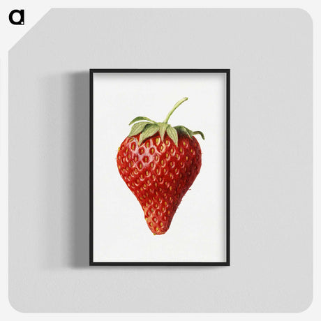 1-17_USDA-Watercolor-Fruit-Painting-Collection_blk-crop