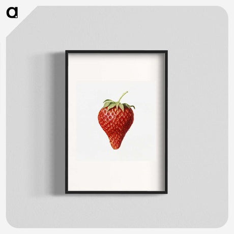 1-17_USDA-Watercolor-Fruit-Painting-Collection_blk