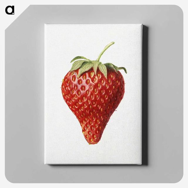 1-17_USDA-Watercolor-Fruit-Painting-Collection_canvas