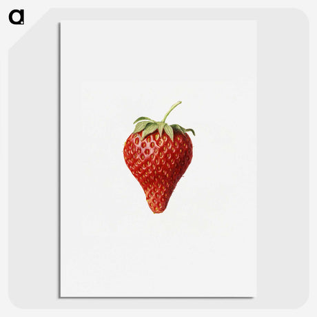 1-17_USDA-Watercolor-Fruit-Painting-Collection_picture