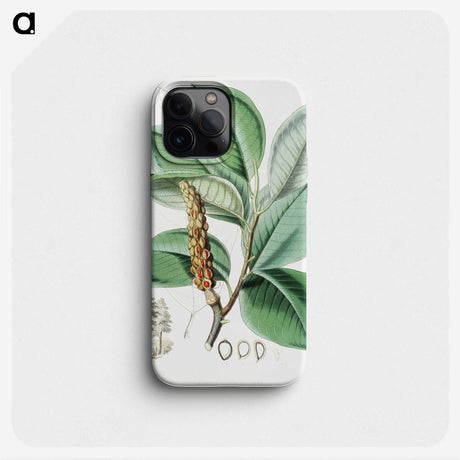 1-17_Walter-Hood-Fitch_phone