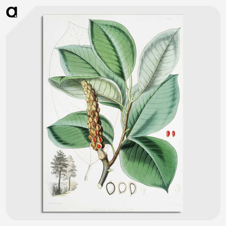 1-17_Walter-Hood-Fitch_picture-crop