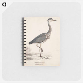 アートメモ帳-Young grey heron - ヴィルヘルム フォン ライト Memo.