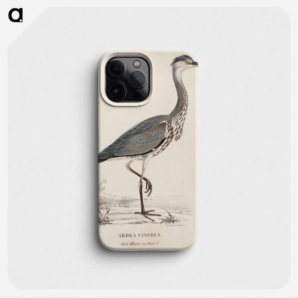 Young grey heron - ヴィルヘルム フォン ライト Phone Case.