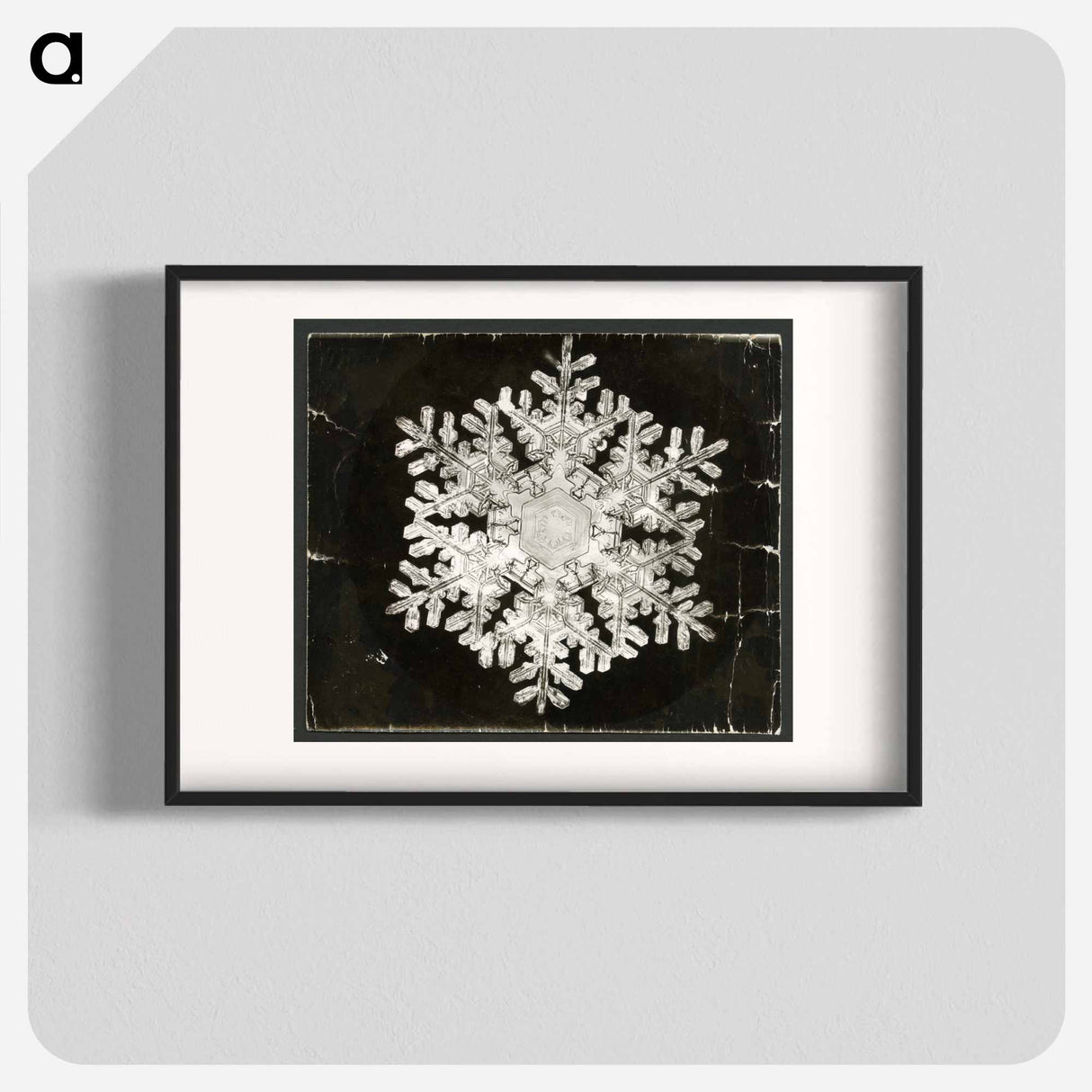 Wilson Bentley Photomicrograph of Stellar Snowflake No. 586 - Wilson Bentley Poster.