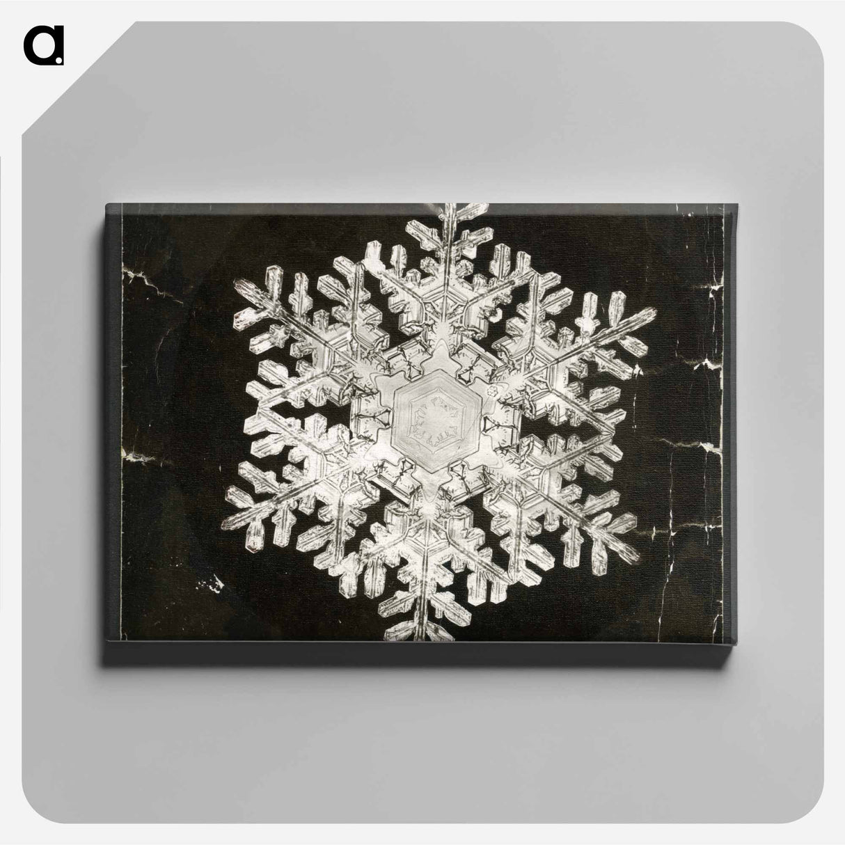 Wilson Bentley Photomicrograph of Stellar Snowflake No. 586 - Wilson Bentley Canvas.