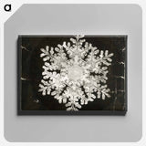 Wilson Bentley Photomicrograph of Stellar Snowflake No. 586 - ウィルソン ベントレー Canvas.