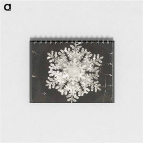 アートメモ帳-Wilson Bentley Photomicrograph of Stellar Snowflake No. 586 - ウィルソン ベントレー Memo.