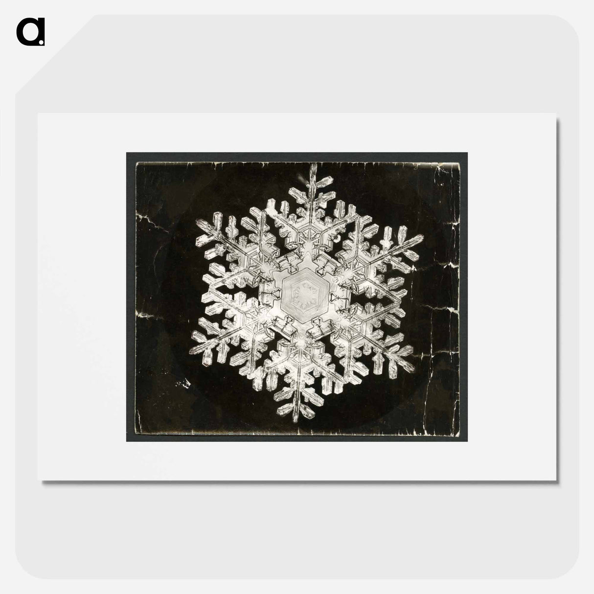 Wilson Bentley Photomicrograph of Stellar Snowflake No. 586 - Wilson Bentley Poster.