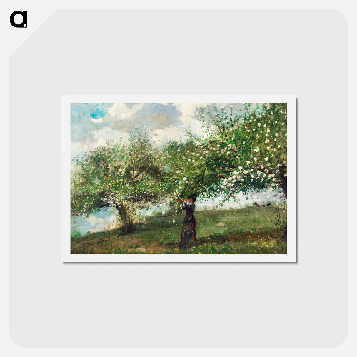 アートポストカード-Girl Picking Apple Blossoms - ウィンスロー ホーマー Postcard.