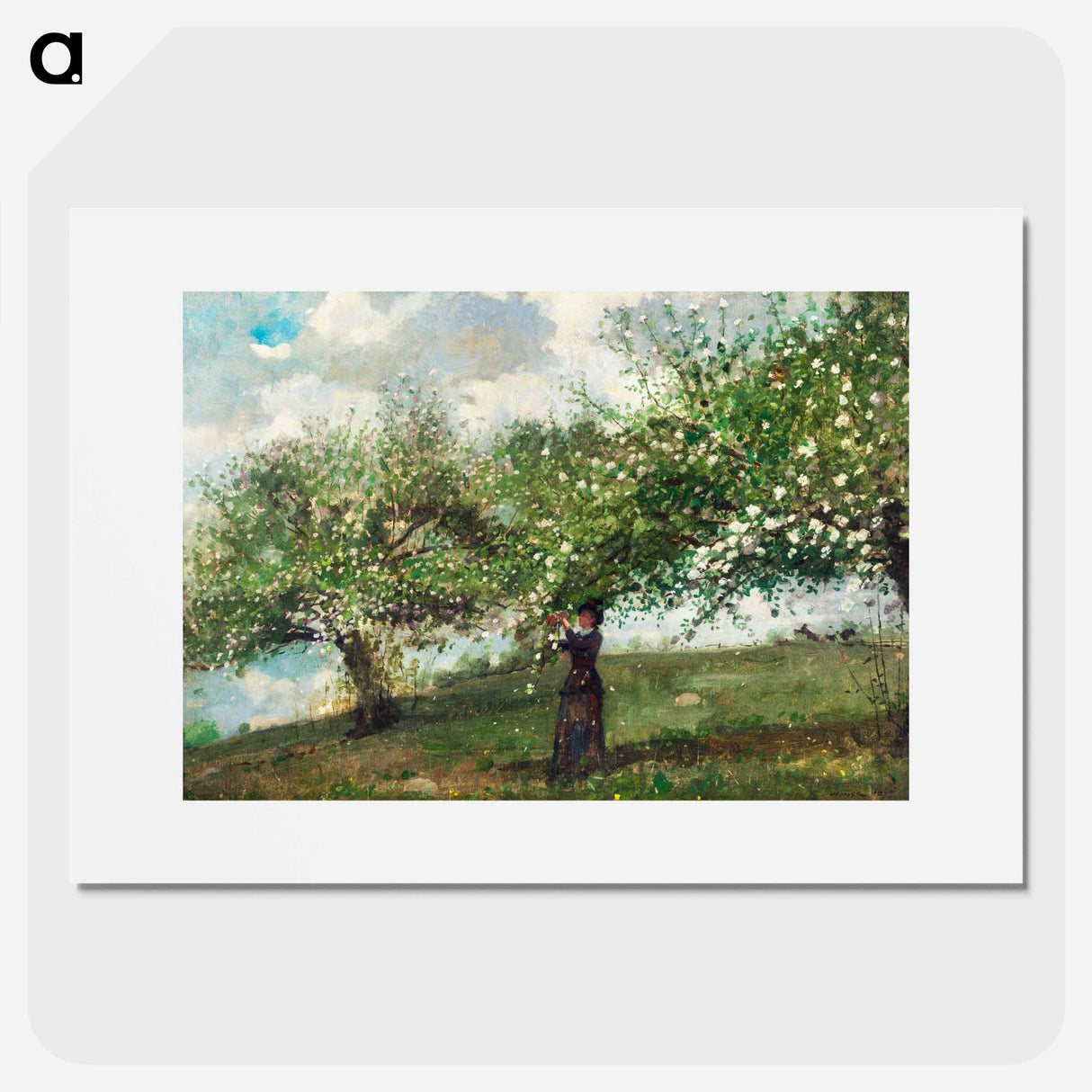 Girl Picking Apple Blossoms - Winslow Homer Poster.