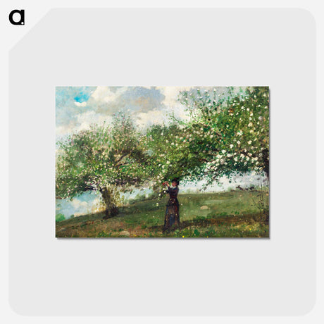 アートポストカード-Girl Picking Apple Blossoms - ウィンスロー ホーマー Postcard.