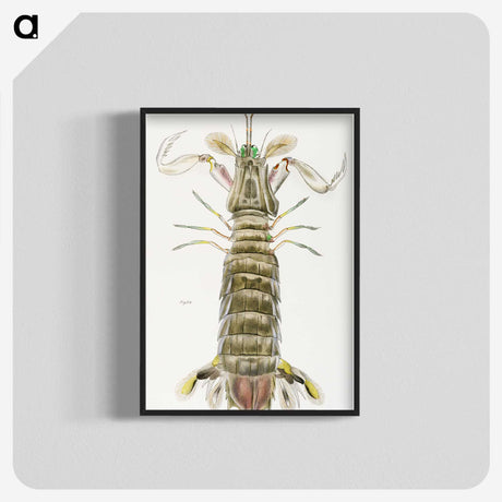 1-17_Zoology-of-New-York_blk-crop