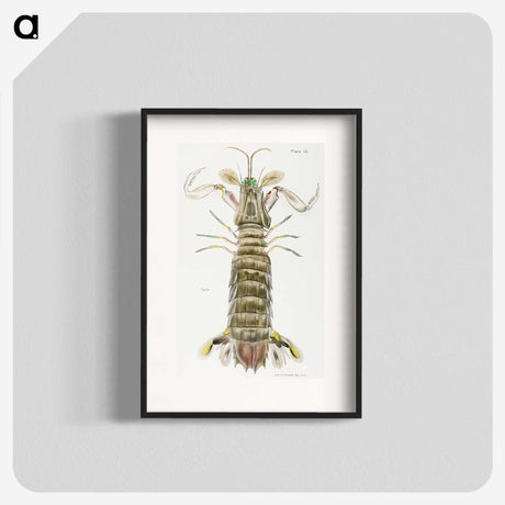 1-17_Zoology-of-New-York_blk