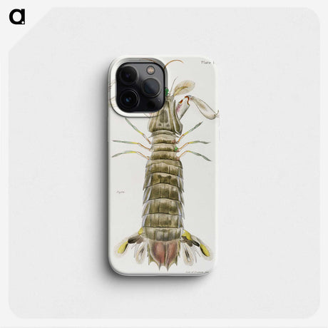 1-17_Zoology-of-New-York_phone