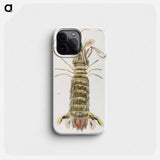 Mantis shrimp or stomatopod illustration from Zoology of New York by James Ellsworth De Kay - ニューヨークの動物学 Phone Case.