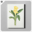 1-18_19th-Century-Japanese-Flowers_canvas