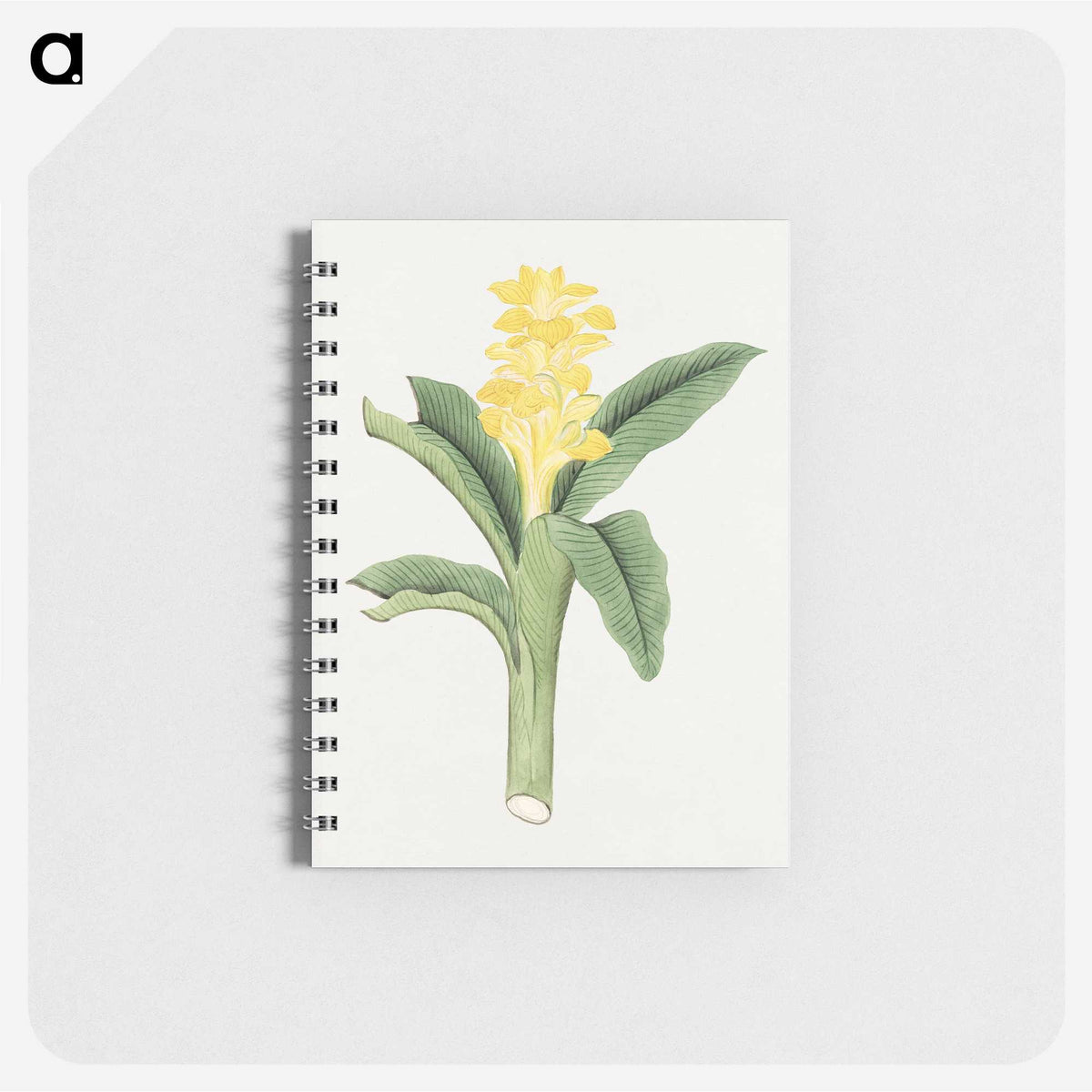 1-18_19th-Century-Japanese-Flowers_memo