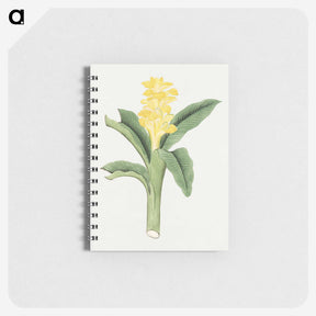 1-18_19th-Century-Japanese-Flowers_memo