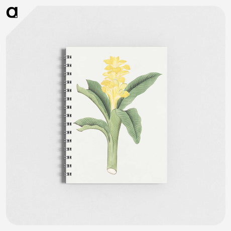 1-18_19th-Century-Japanese-Flowers_memo